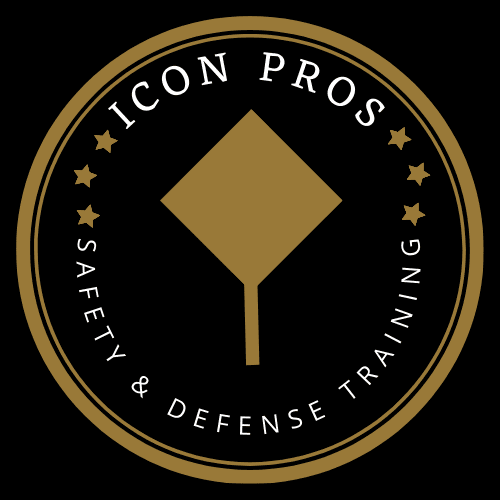 ICON PROFESSIONAL SAFETY & DEFENSE